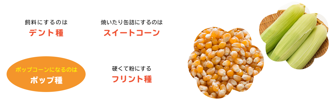 ポップコーンの話